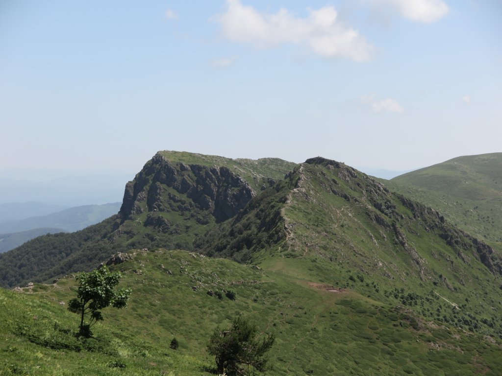 photo29.jpg