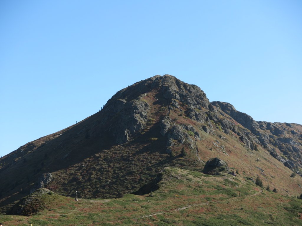 photo31.jpg