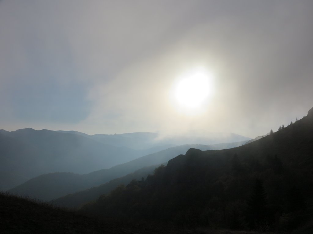 photo48.jpg