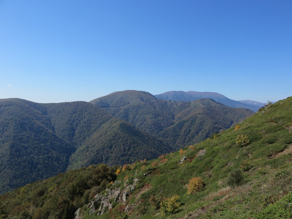photo6.jpg