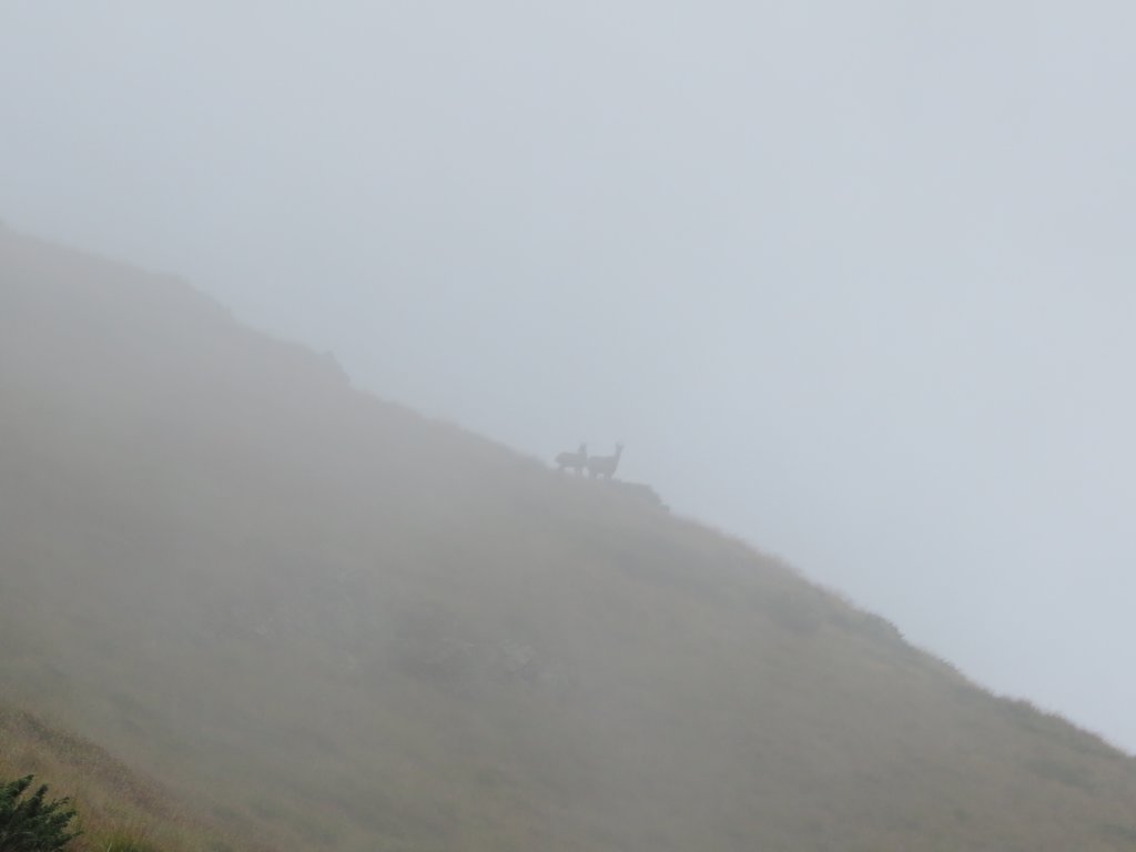 photo84.jpg