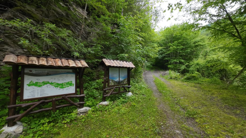 photo2.jpg