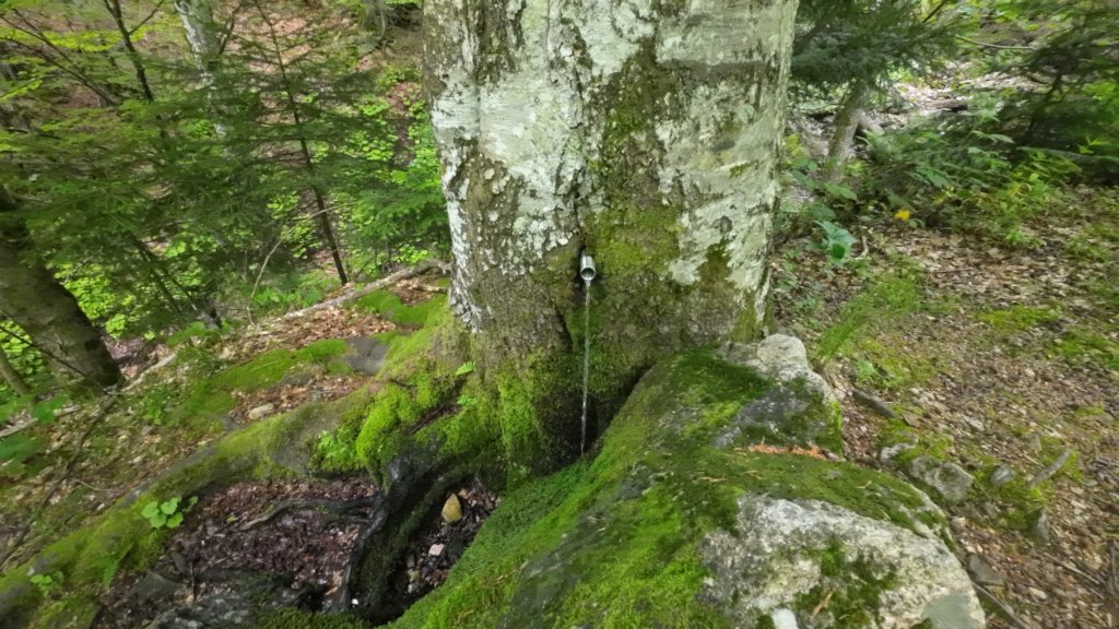 photo7.jpg