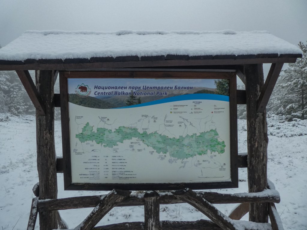 photo10.jpg