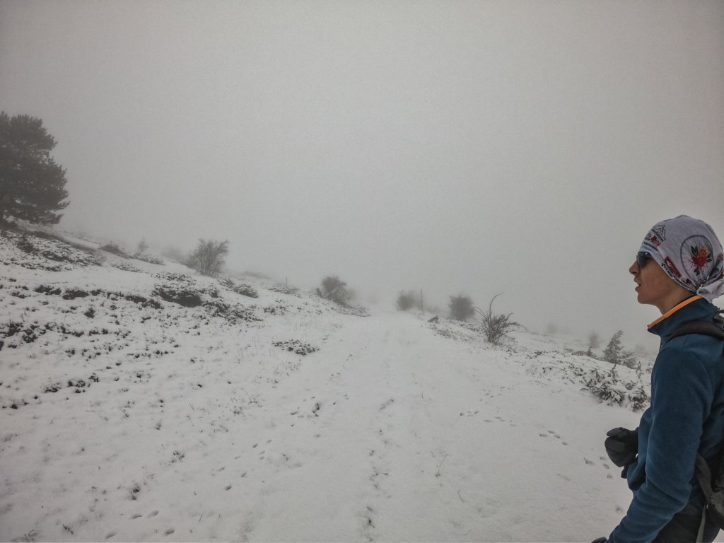 photo15.jpg