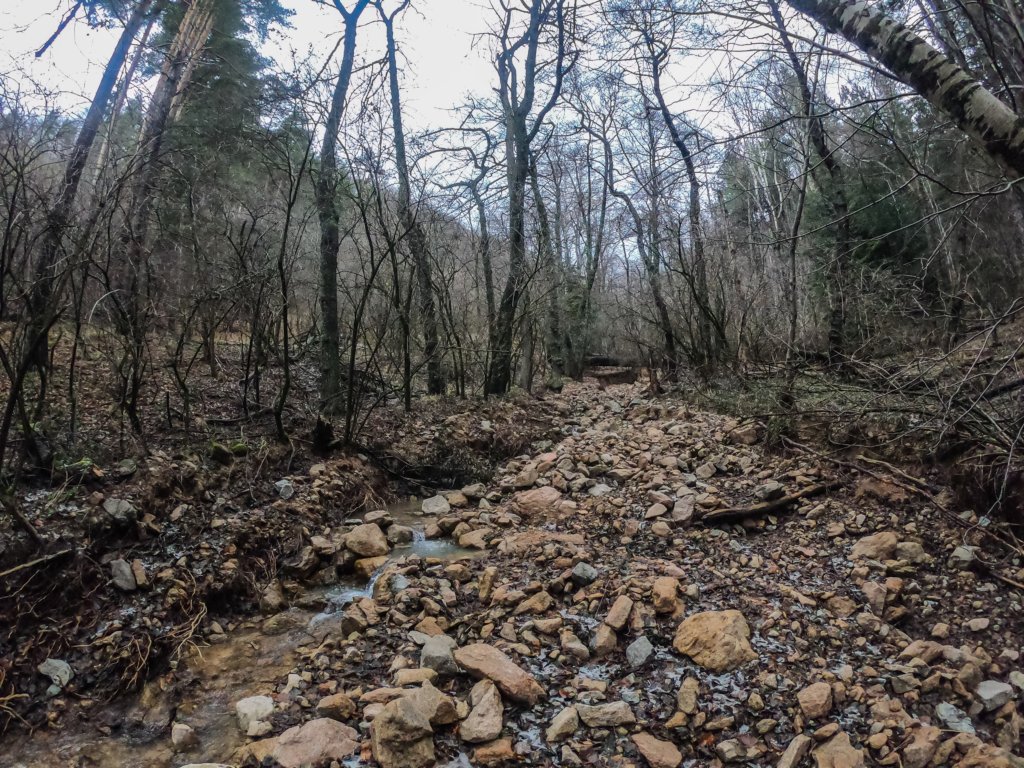 photo4.jpg