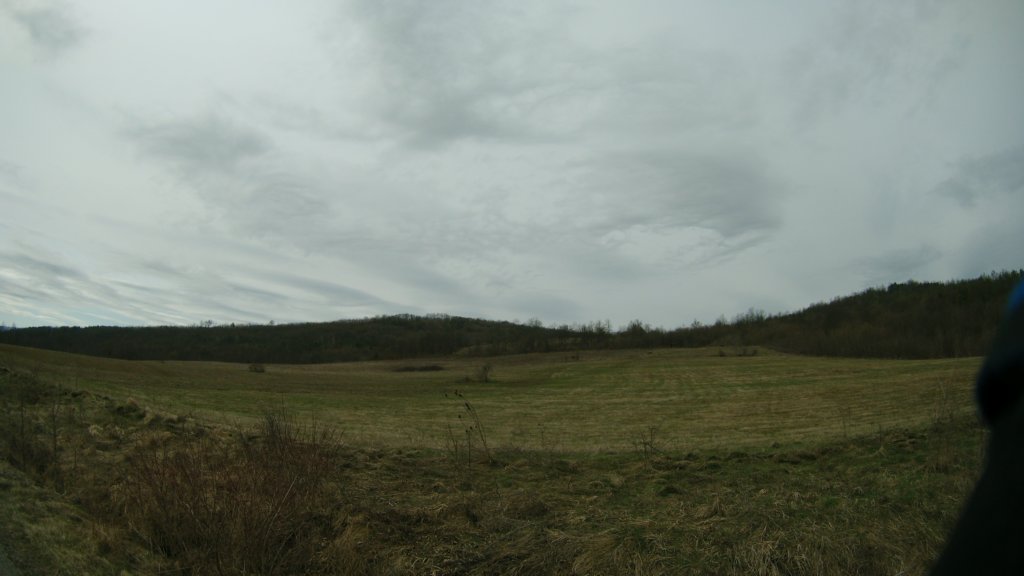 photo37.jpg