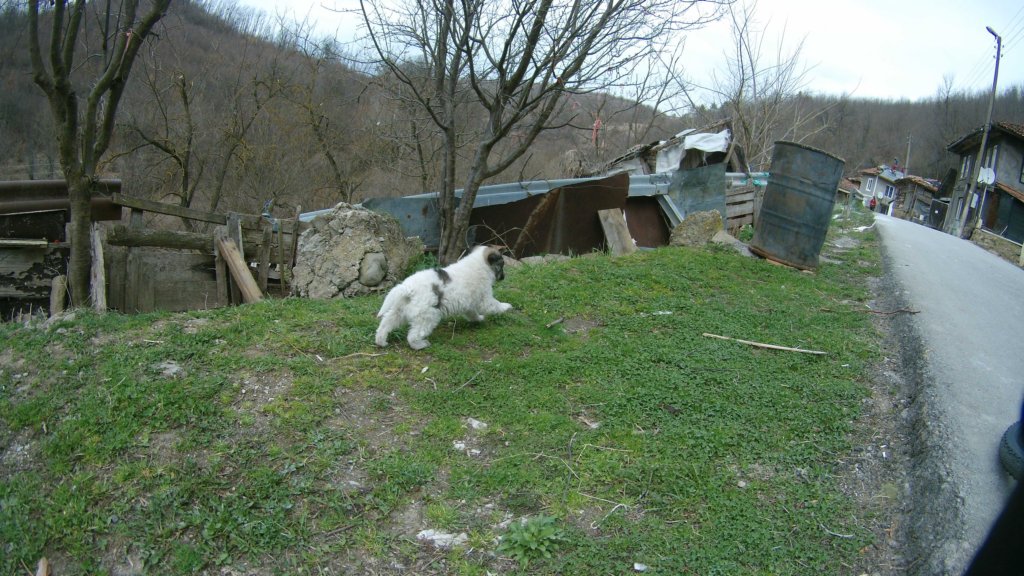 photo40.jpg