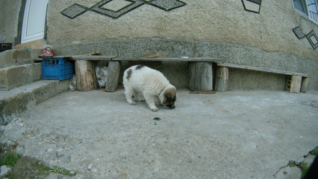 photo42.jpg