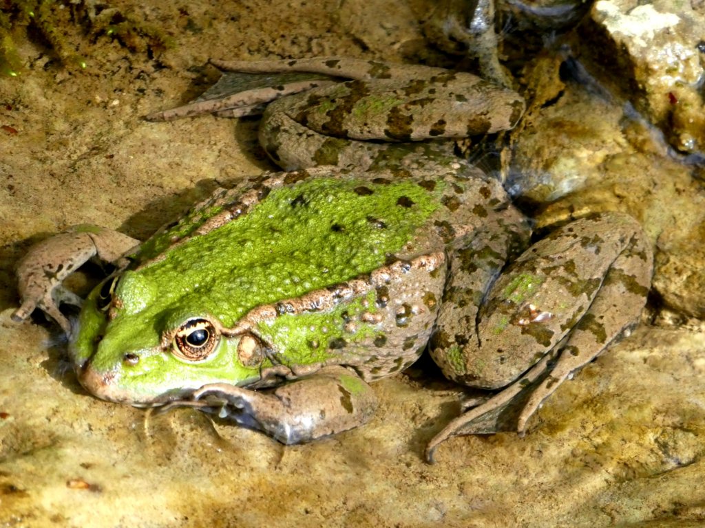 photo11.jpg