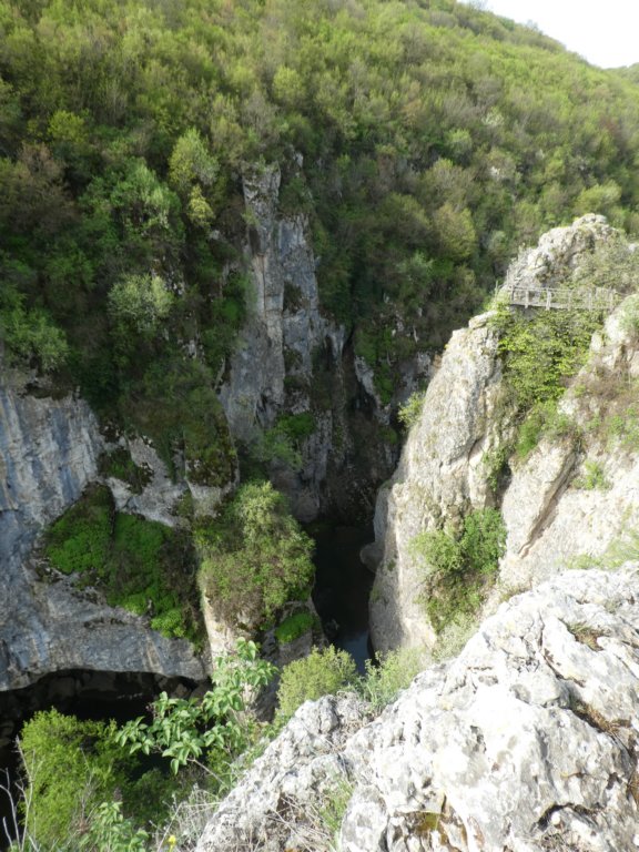 photo17.jpg