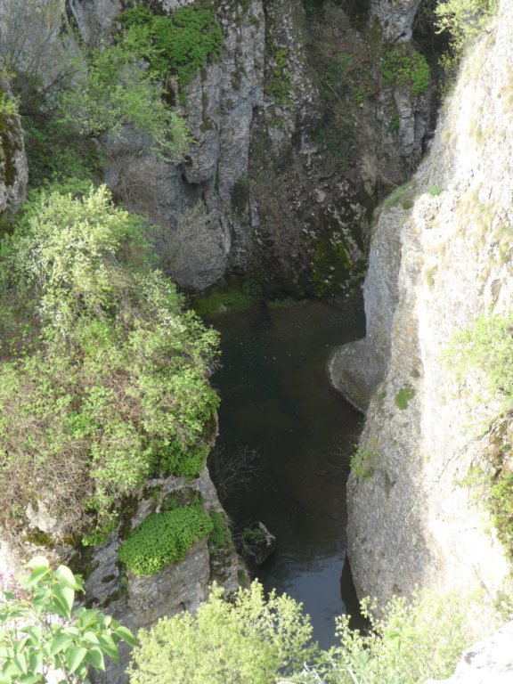 photo18.jpg