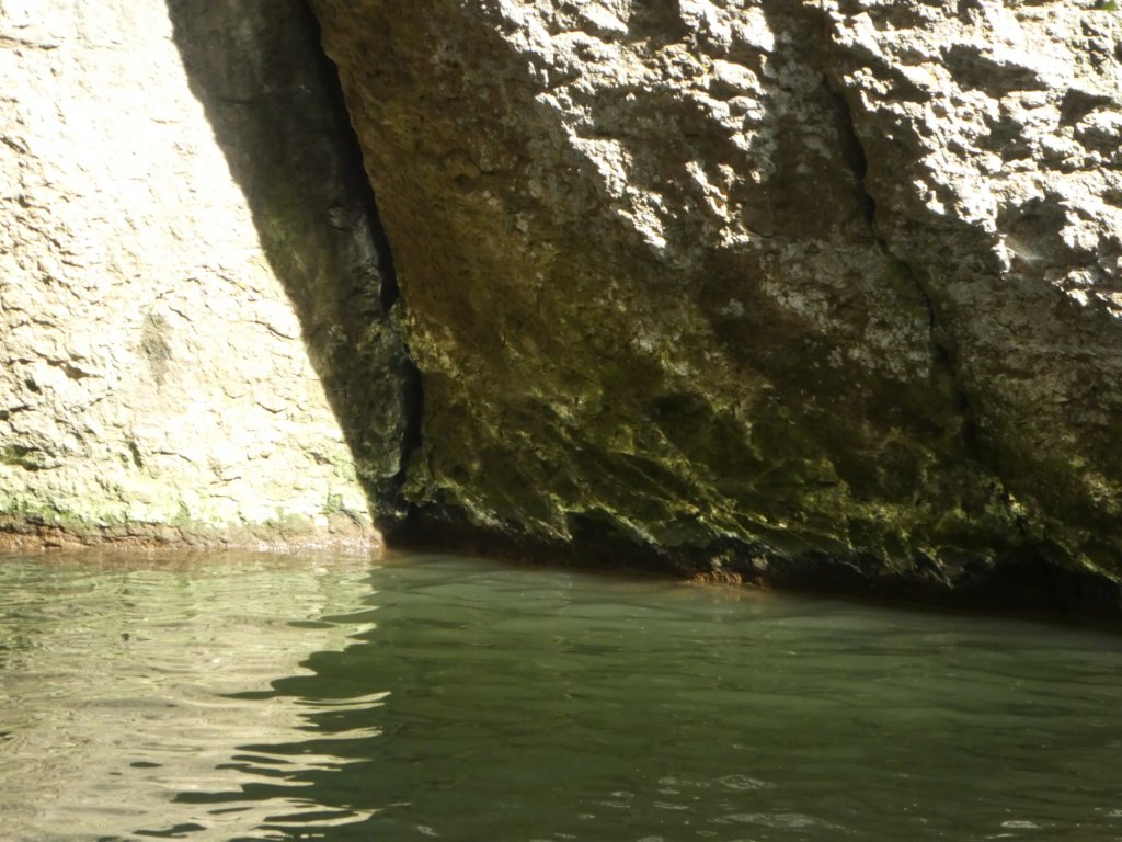 photo31.jpg