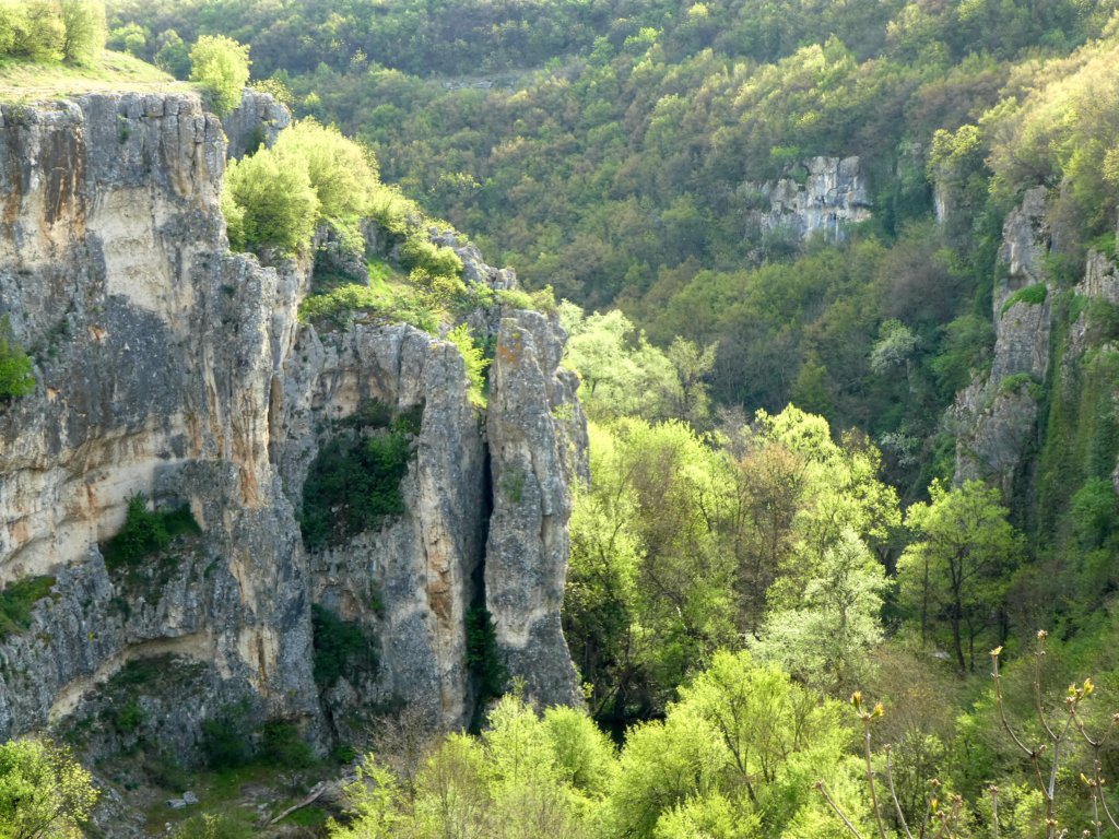 photo5.jpg