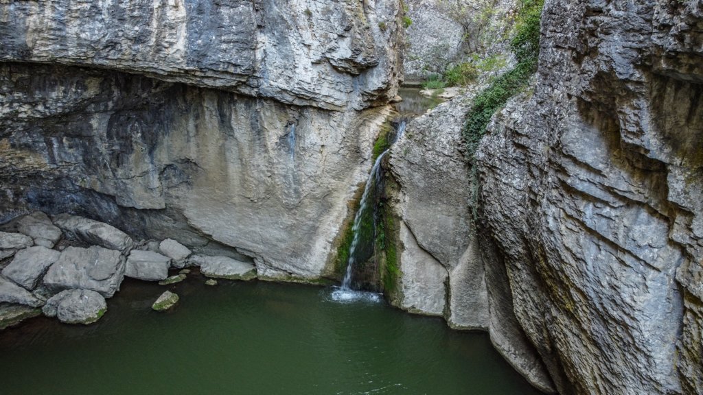 photo26.jpg