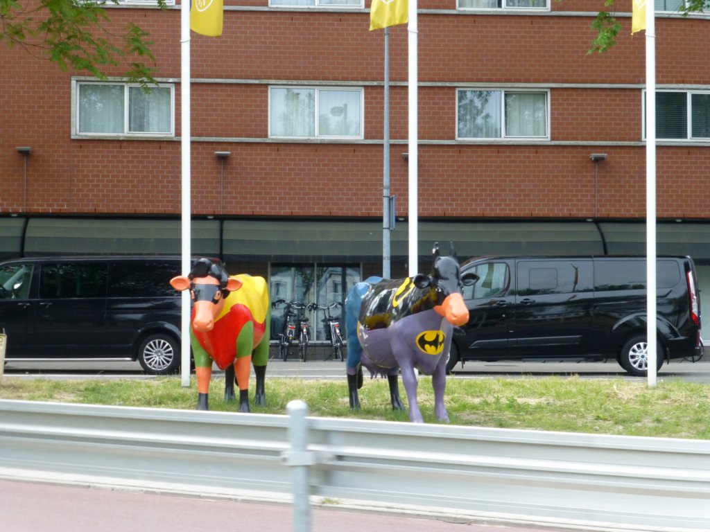 photo75.jpg