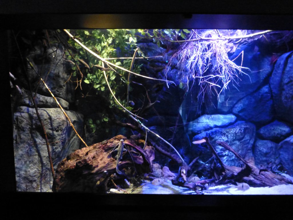 photo11.jpg