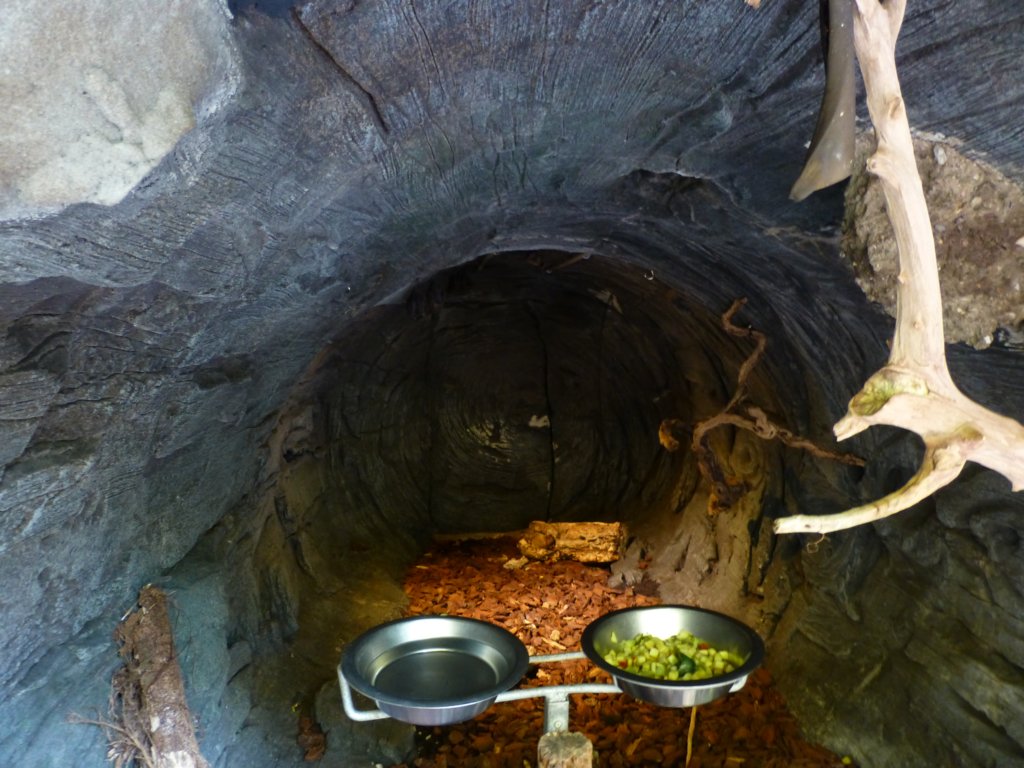 photo13.jpg