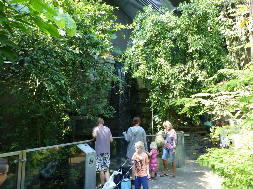photo14.jpg