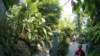 photo15_small.jpg