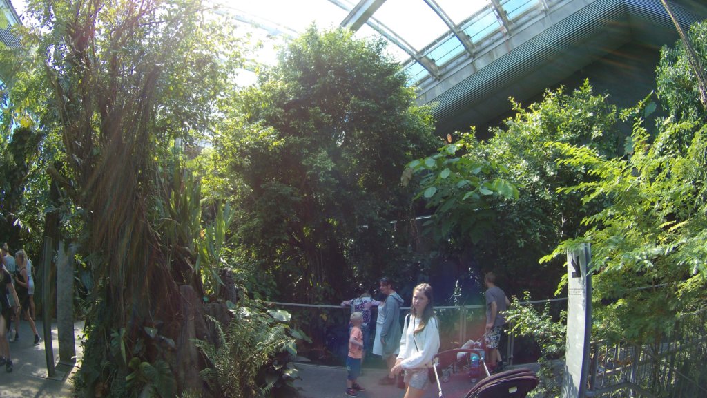 photo17.jpg