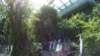 photo17_small.jpg