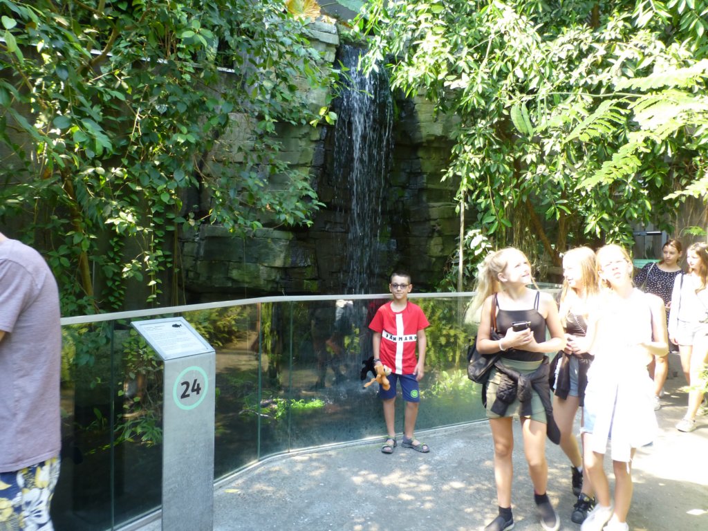 photo18.jpg