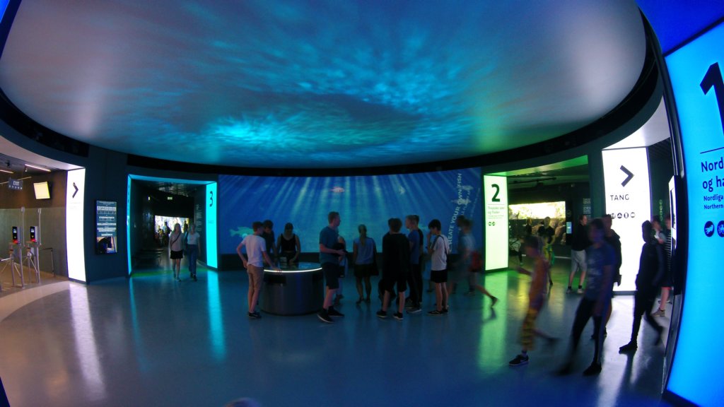 photo2.jpg