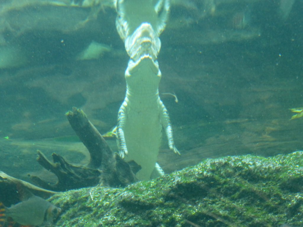 photo25.jpg