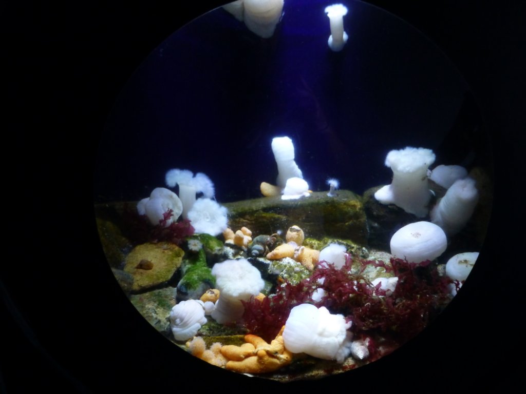 photo6.jpg