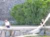 photo126_small.jpg