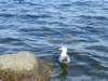photo138_small.jpg