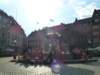 photo156_small.jpg