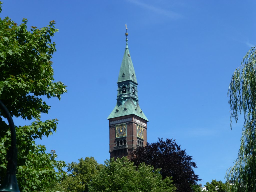 photo51.jpg