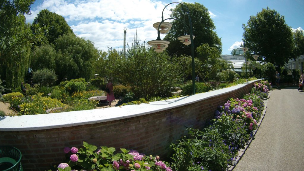 photo55.jpg