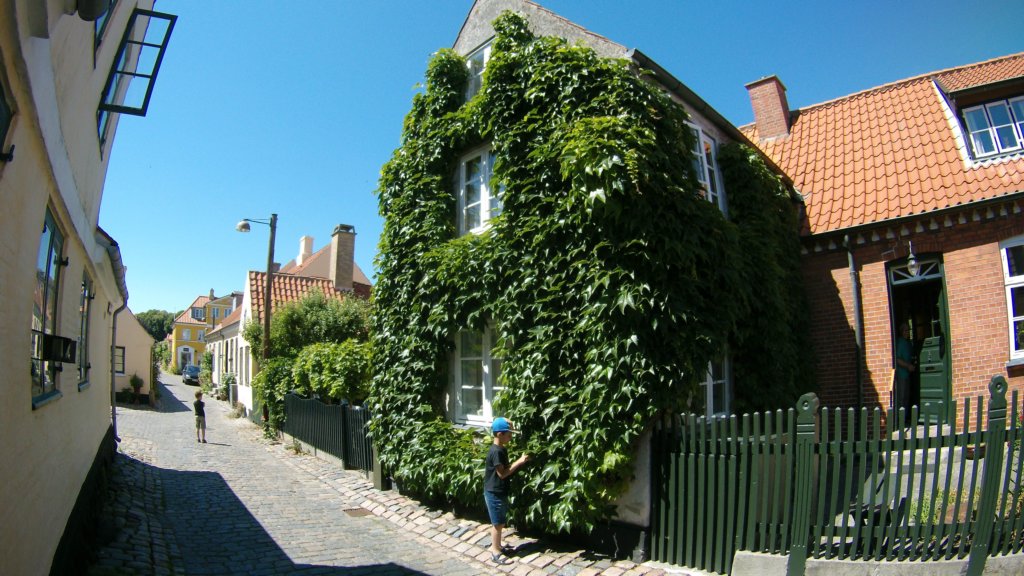 photo14.jpg