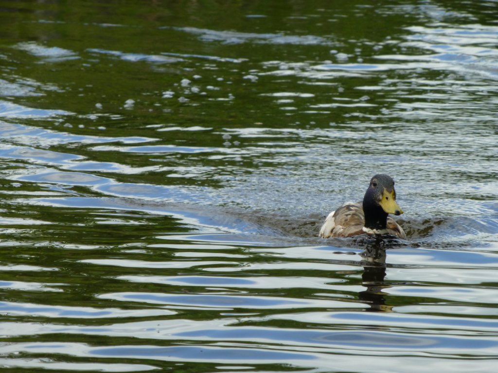 photo45.jpg
