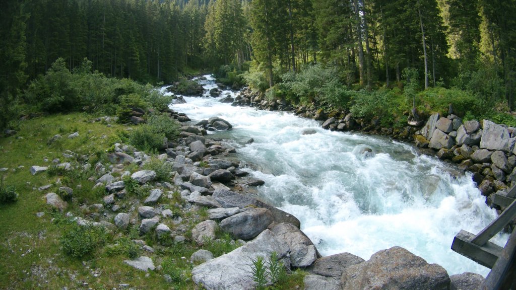 photo24.jpg