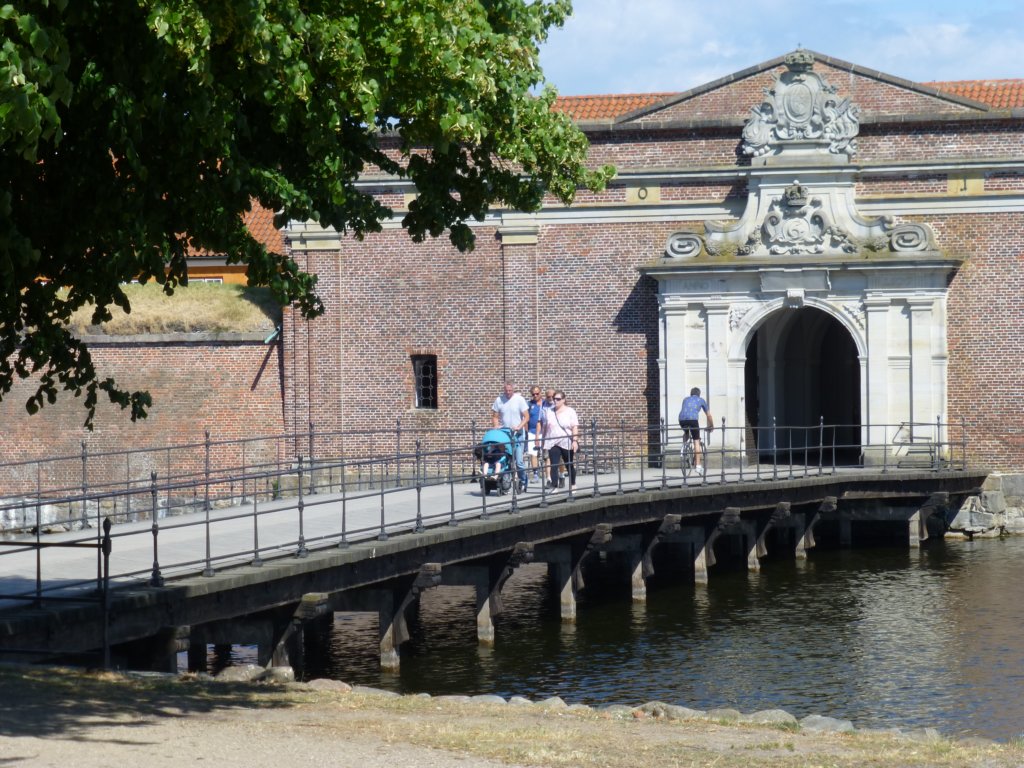 photo4.jpg