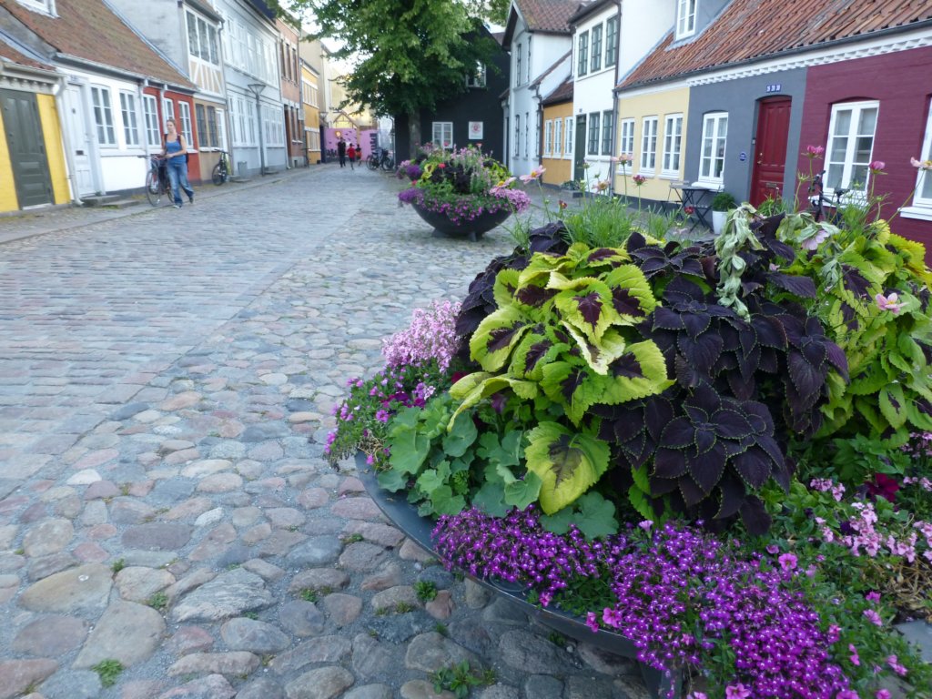 photo11.jpg