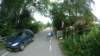 photo45_small.jpg
