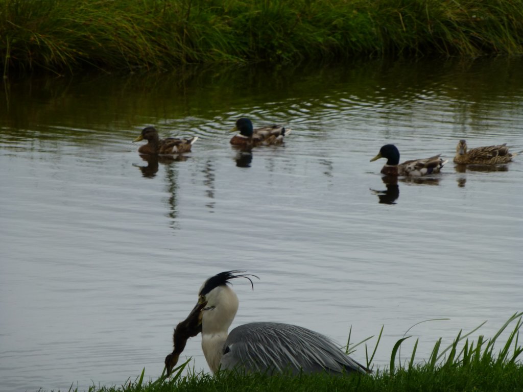 photo16.jpg