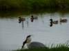 photo16_small.jpg