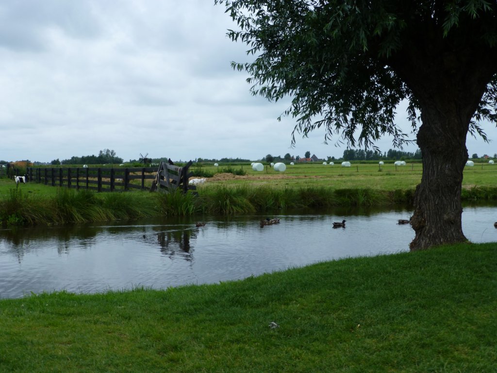 photo18.jpg