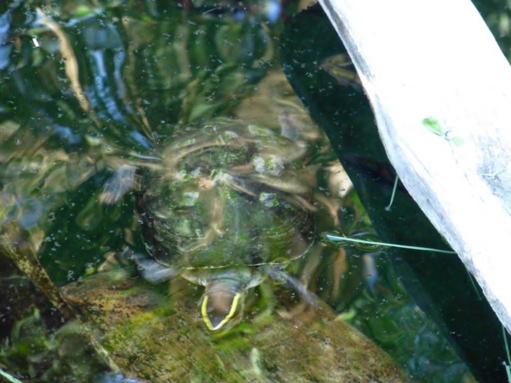 photo11.jpg