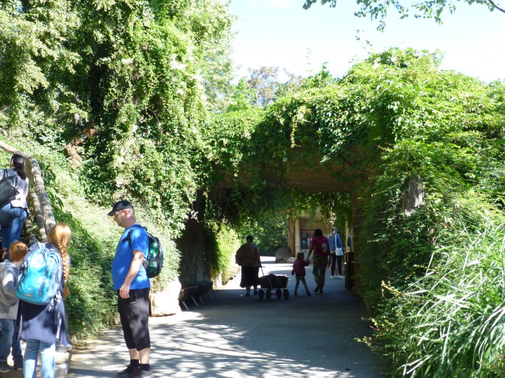 photo14.jpg