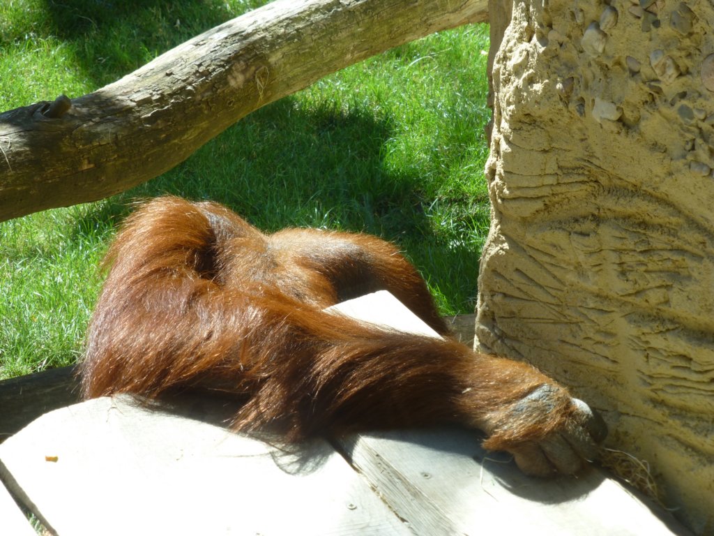 photo18.jpg
