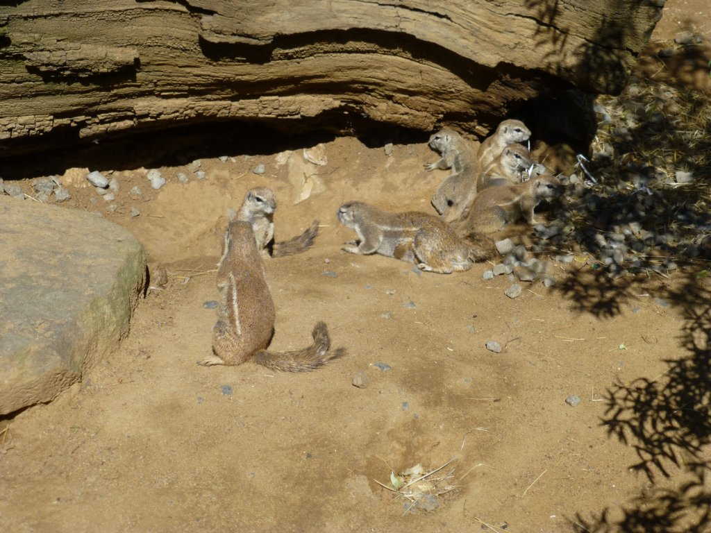 photo20.jpg