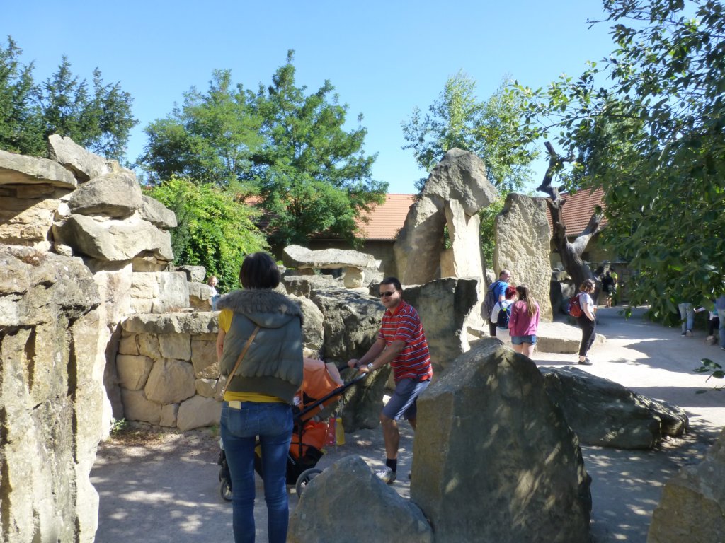 photo21.jpg