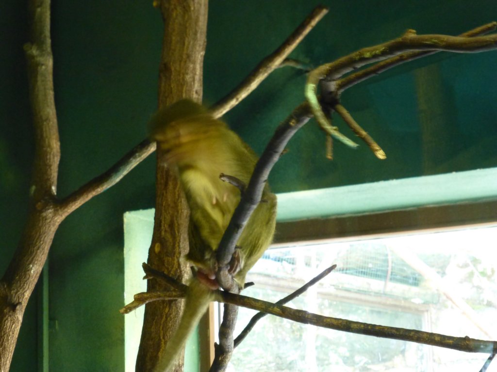 photo27.jpg